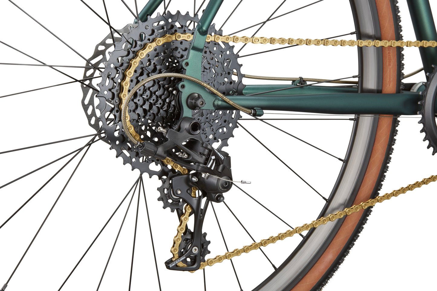 Close-up of CATALINA 1’s rear wheel with gears, derailleur, gold chain on green chromoly steel frame and brown-trimmed tire.