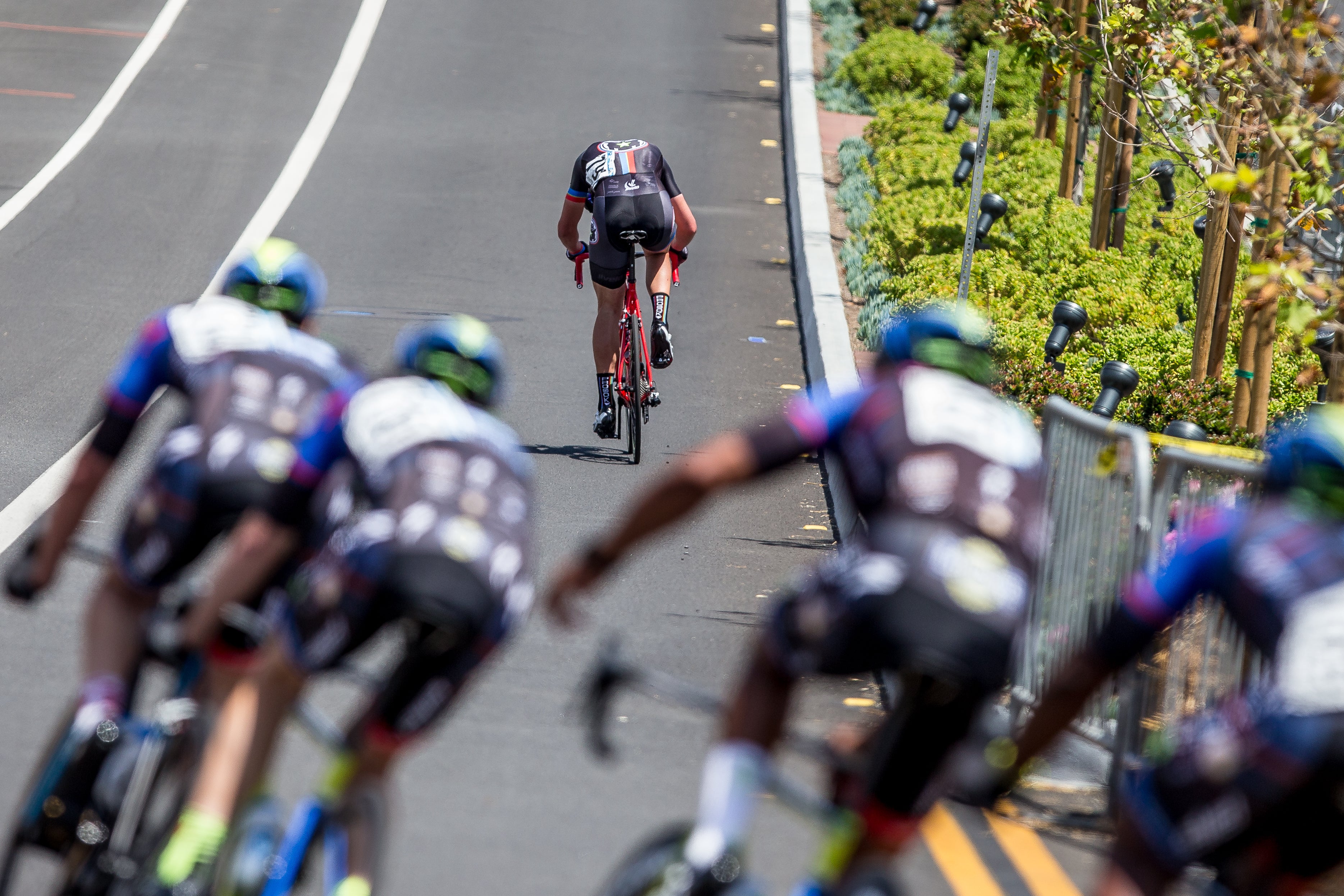 A group of cyclists racing on a road with green foliage on the sidewalk. One cyclist is ahead of the group, riding in the center of the road. The scene captures the intensity and focus of the competition.