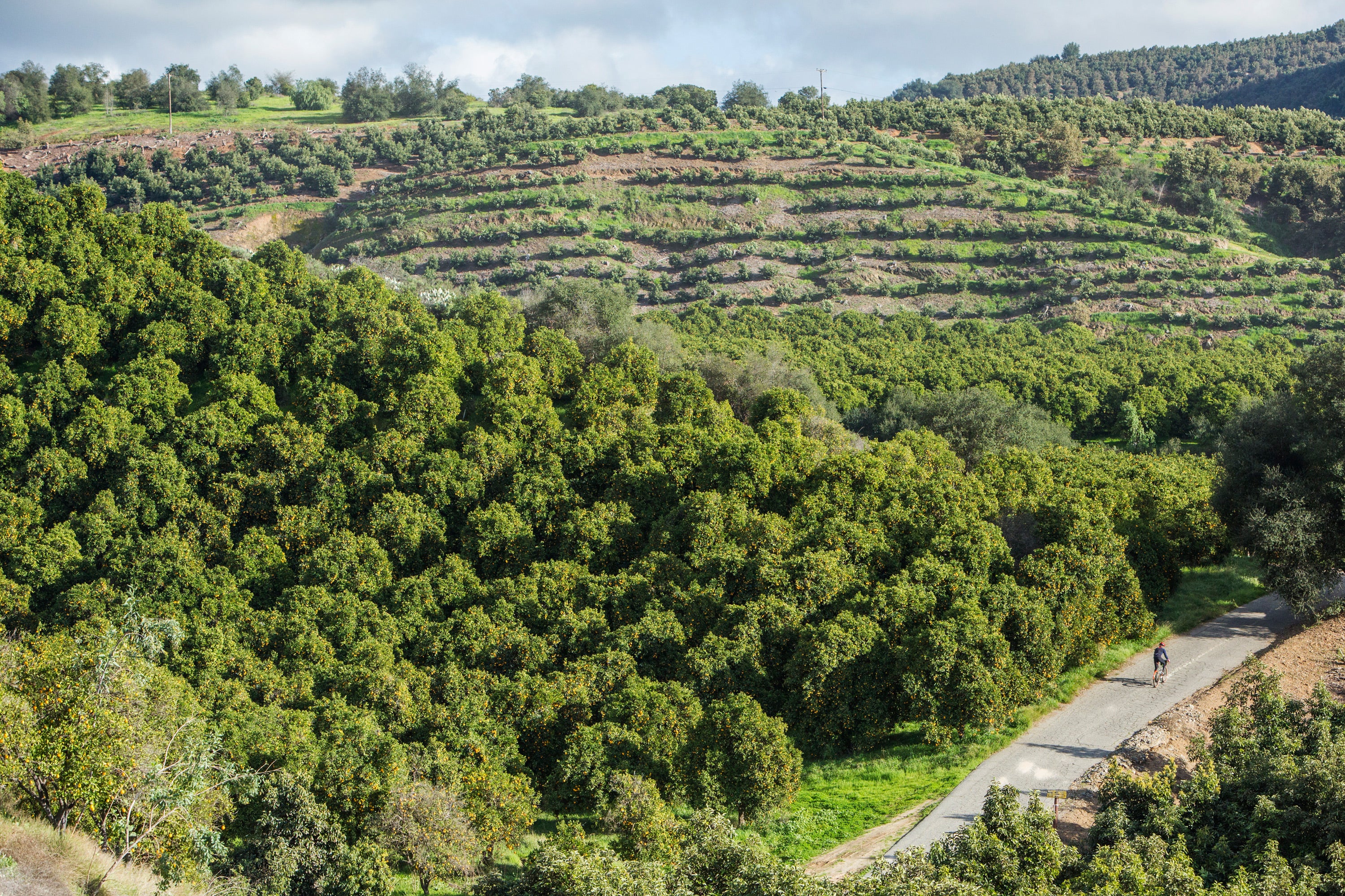 A cyclist rides along a paved path surrounded by lush green hills with terraced fields. The hillside is covered with dense vegetation and trees under a partly cloudy sky.
