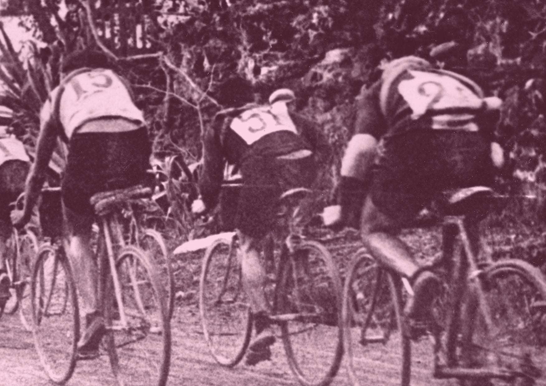 90 Years of Masi, page 10